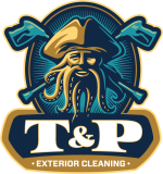T & P Cleaning Logo