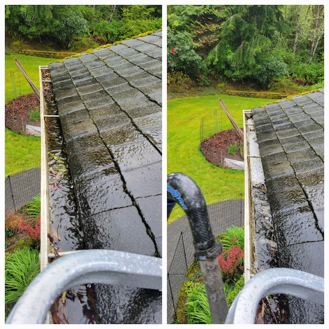 Gutter Cleaning in Fall City, WA 1