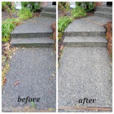 Driveway, Entryway, and Walkway Pressure Washing in Sammamish, WA