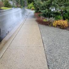 Driveway Entryway Walkway Sammamish 3