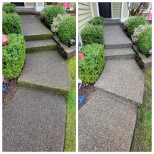 Driveway, Stairs, Pressure Washing 2