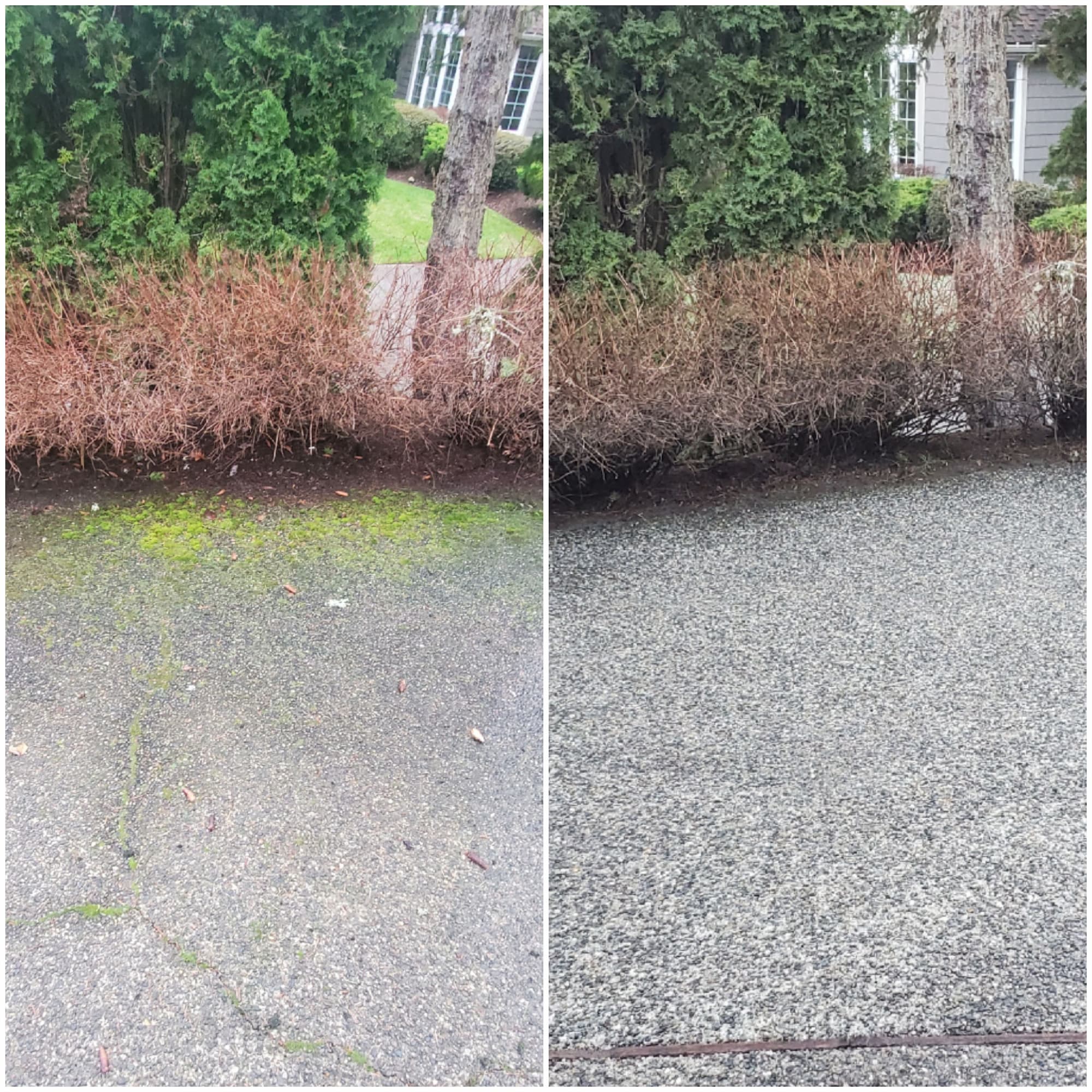 Driveway walkway pressure wash sammamish