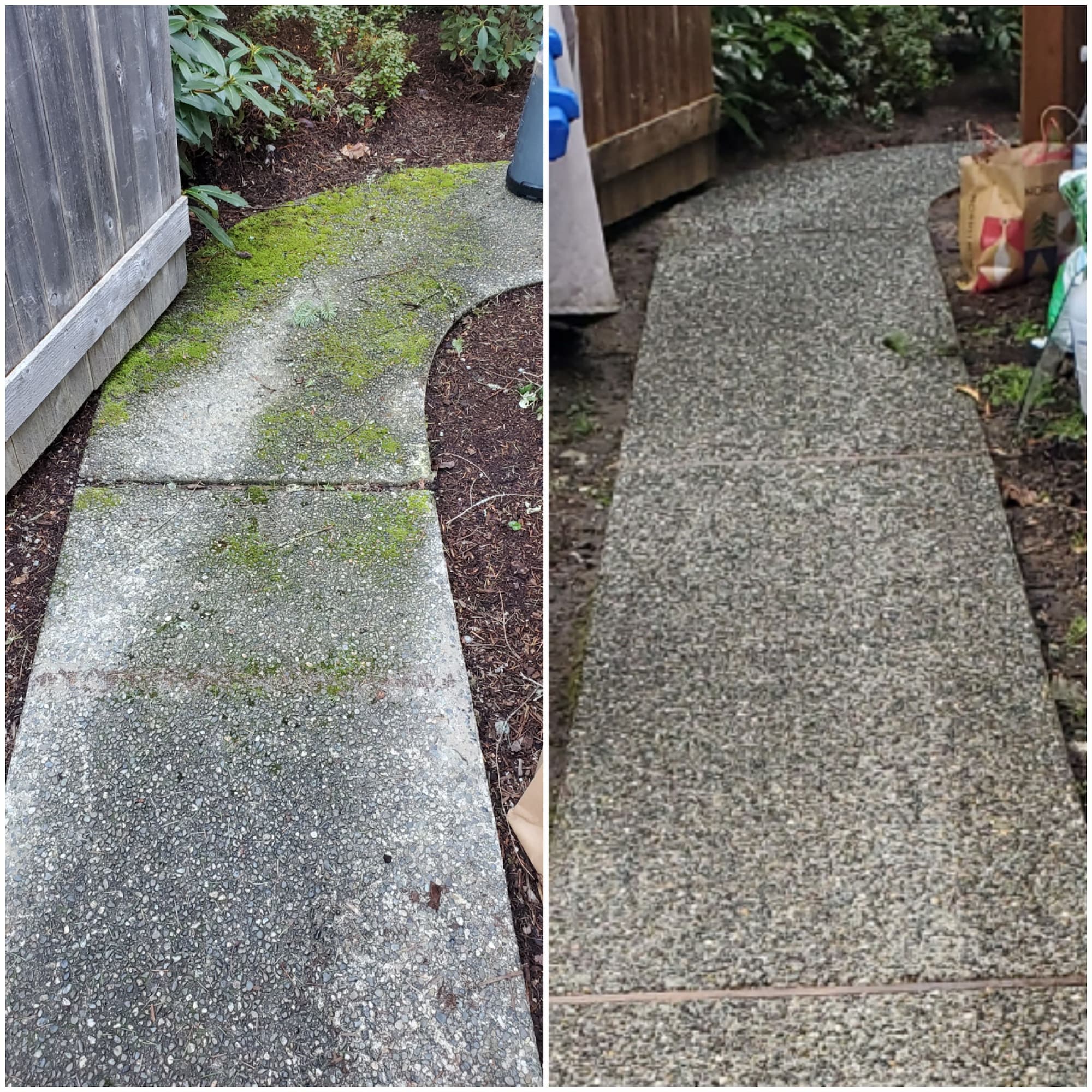 Driveway walkway pressure wash sammamish