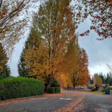 Gutter Cleaning Fall City WA 3