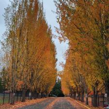 Gutter Cleaning Fall City WA 4