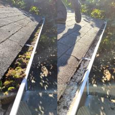 Gutter Cleaning Fall City 2