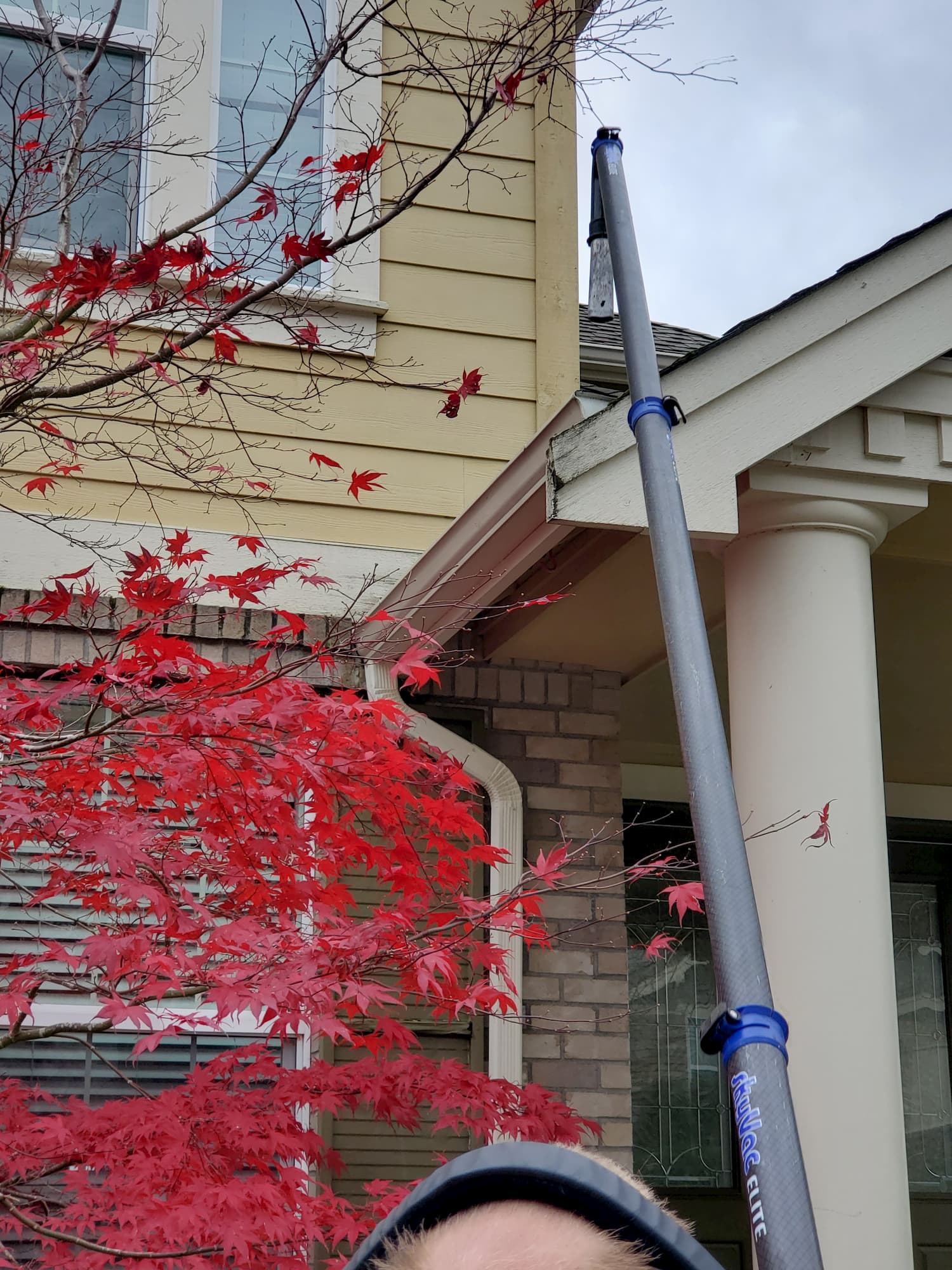 Gutter cleaning issaquah wa