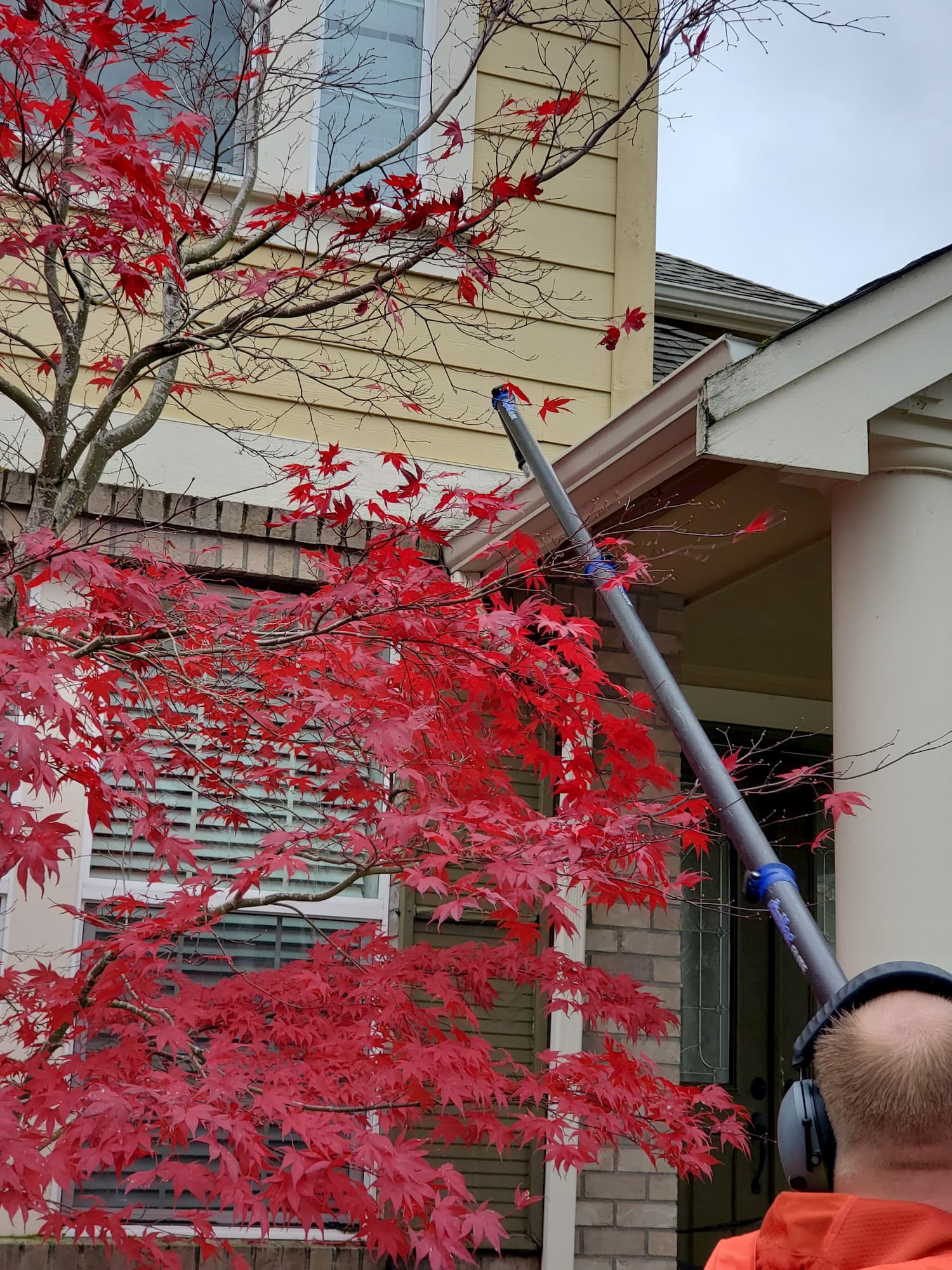 Gutter cleaning issaquah wa