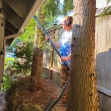 Gutter cleaning 3