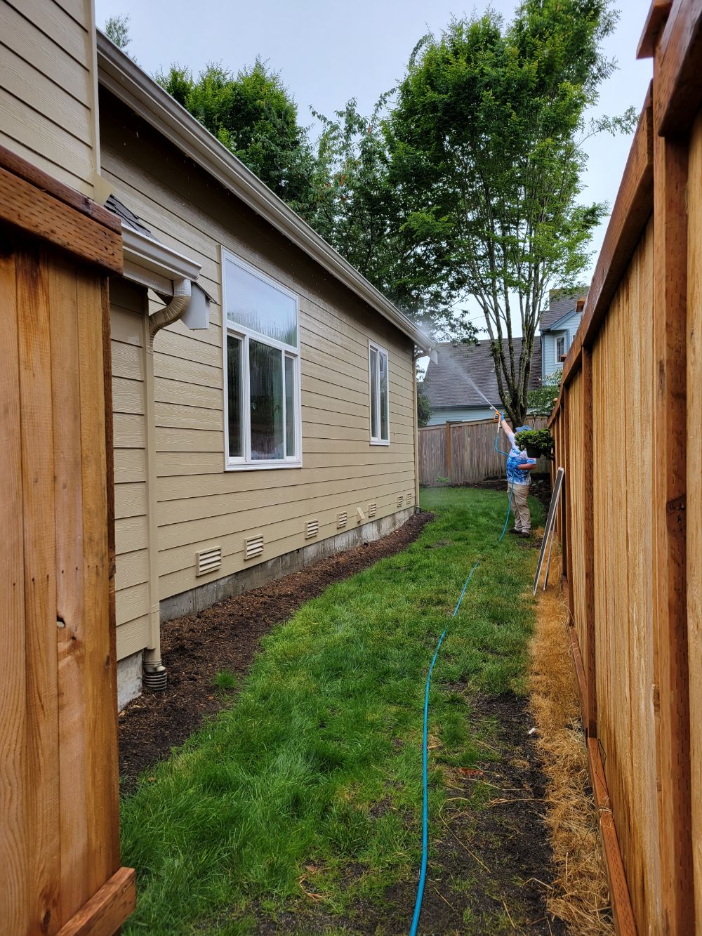 House wash and gutter brightening in sammamish wa