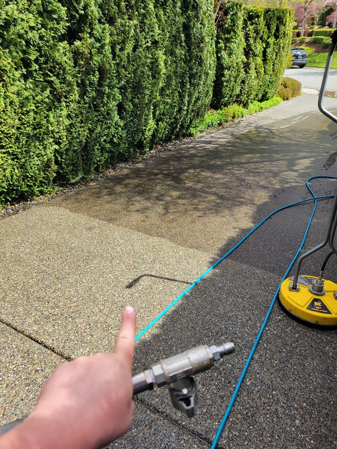 Long driveway cleaning in sammamish wa
