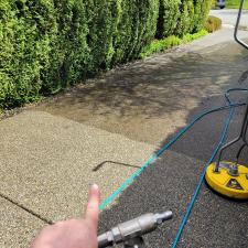 Long Driveway Washing in Sammamish, WA