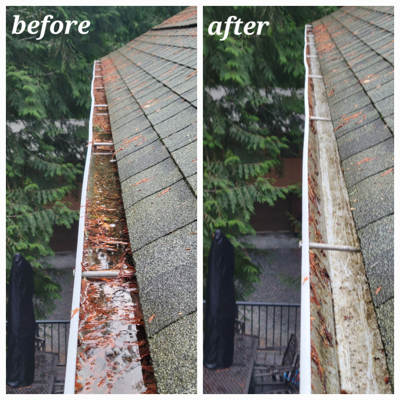 Gutter cleaning