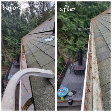 Redmond Gutter Cleaning 1