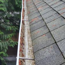 Gutter cleaning 6
