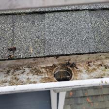 Gutter cleaning 7
