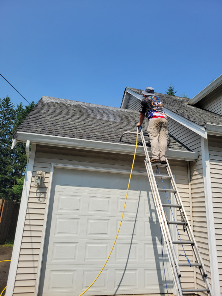 Roof cleaning renton (1)