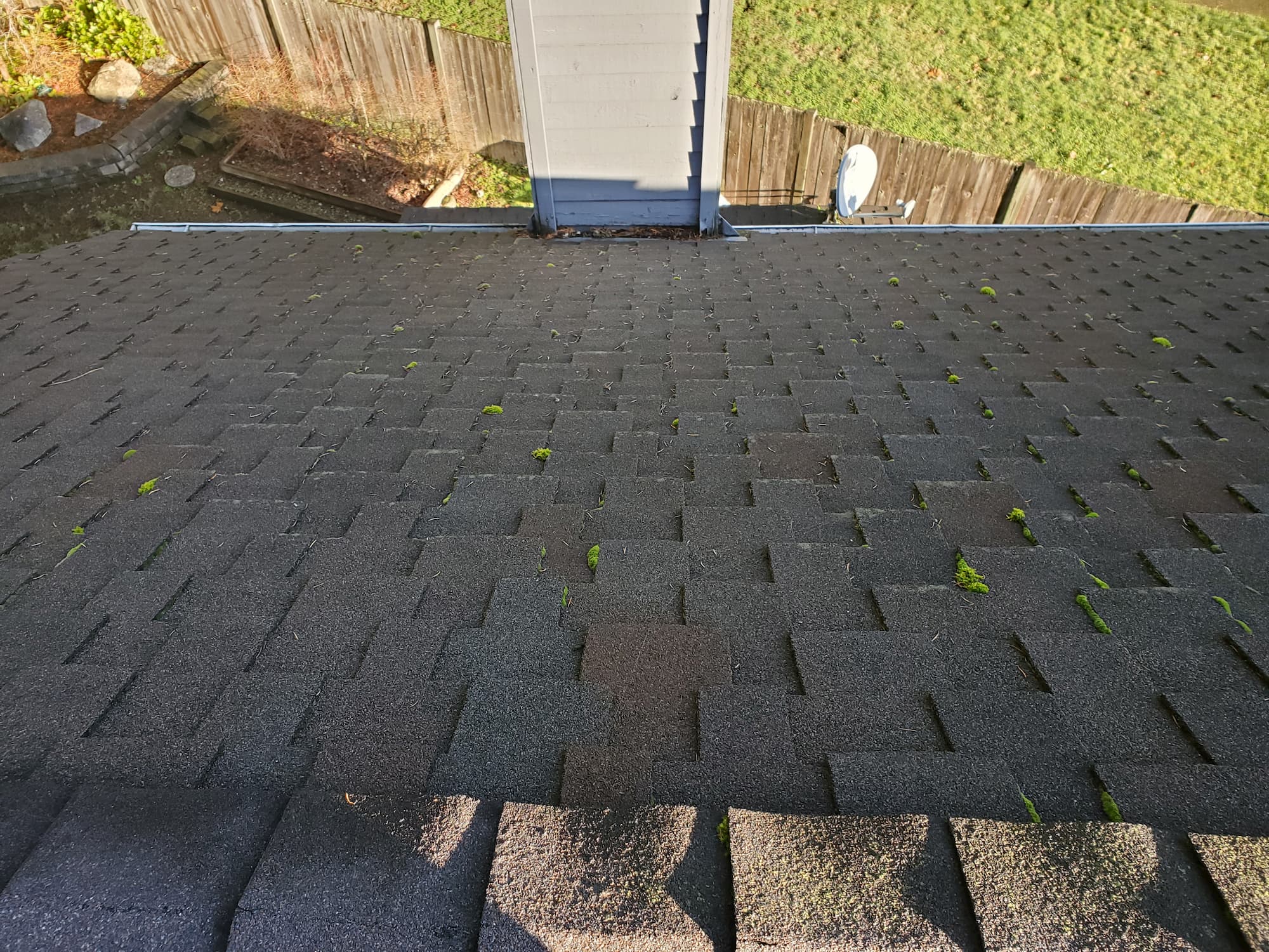 Roof treatment and cleaning issaquah wa
