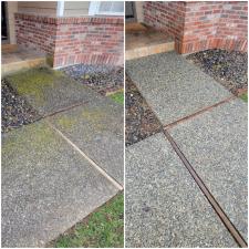 Driveway Moss Removal & Pressure Washing in Issaquah, WA 1