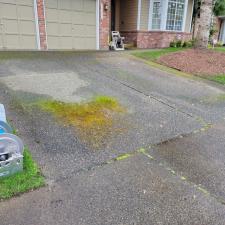 Driveway Moss Removal & Pressure Washing in Issaquah, WA 2