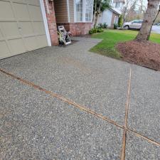 Driveway Moss Removal & Pressure Washing in Issaquah, WA 4