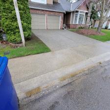 Driveway Moss Removal & Pressure Washing in Issaquah, WA 6