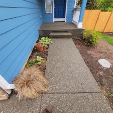 Driveway Cleaning in Renton WA 2