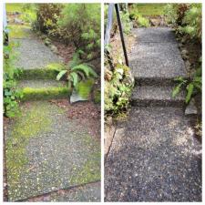 Driveway Walkway Pressure Washing 1