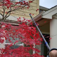 Gutter Cleaning 3