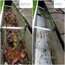 Gutter Cleaning Redmond, WA 2