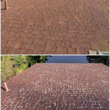 Roof Cleaning and Moss Removal in Redwood, WA