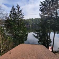 roof cleaning moss removal redwood wa 1