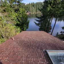 roof cleaning moss removal redwood wa 2
