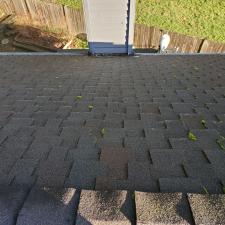 Roof Cleaning 0