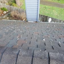 Roof Treatment and Cleaning in Issaquah, WA