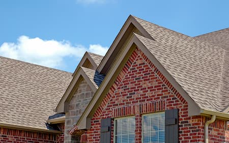 Roof cleaning