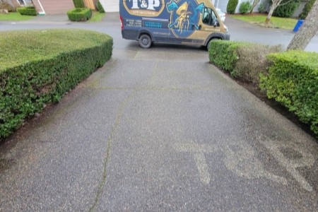 clean front entry and walkway after professional pressure washing