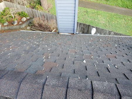 Roof Cleaning in WA: How to Remove Black Streaks Without Damaging Shingles