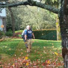Gutter-Cleaning-and-Leaf-Clean-Up-in-Redmond 0