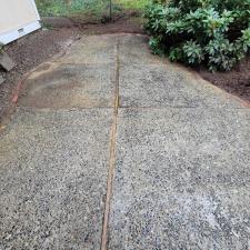 Pressure-Washing-Back-Patio-in-Sammamish-WA 0