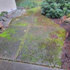 Pressure-Washing-Back-Patio-in-Sammamish-WA 1