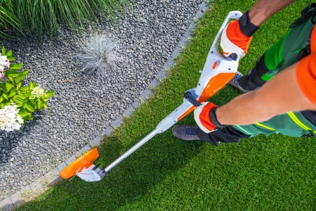 Close-up of crisp turf edge next to a landscape bed in Sammamish, WA